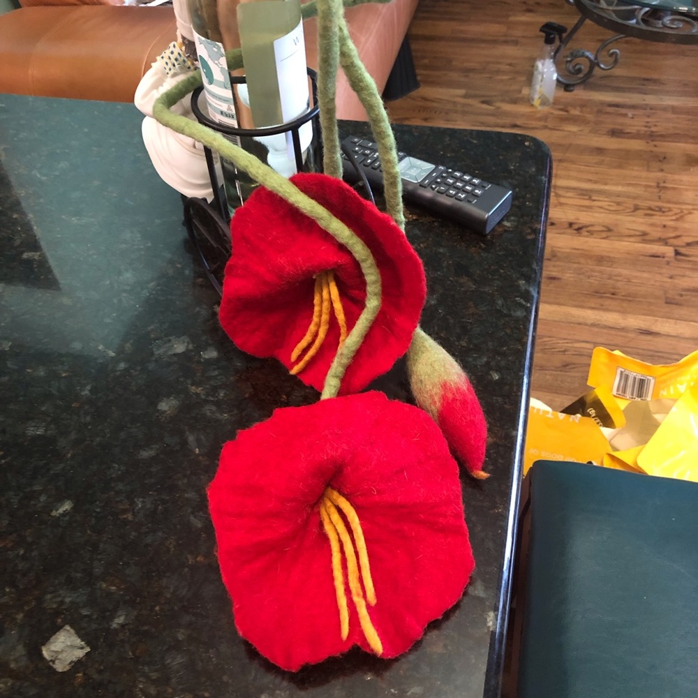 Signature Scarf - Picture 3 of 3